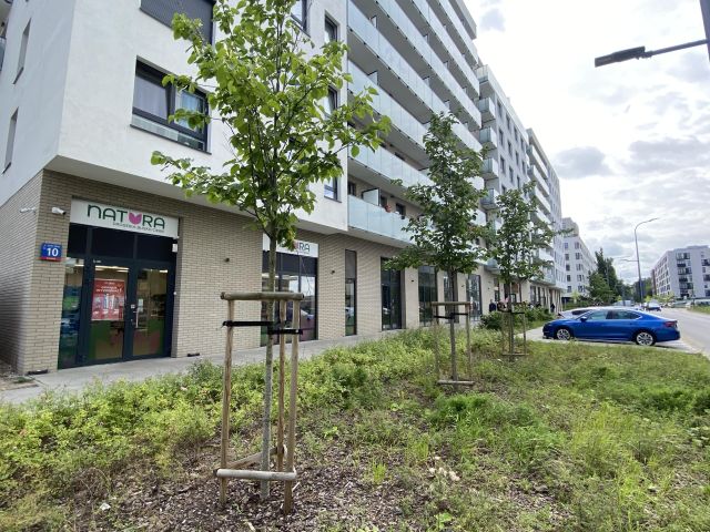 Lokal Warszawa Ursus, ul. Herbu Oksza. Zdjęcie 3
