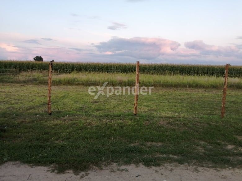 Działka budowlana Pigża, ul. Krokusowa