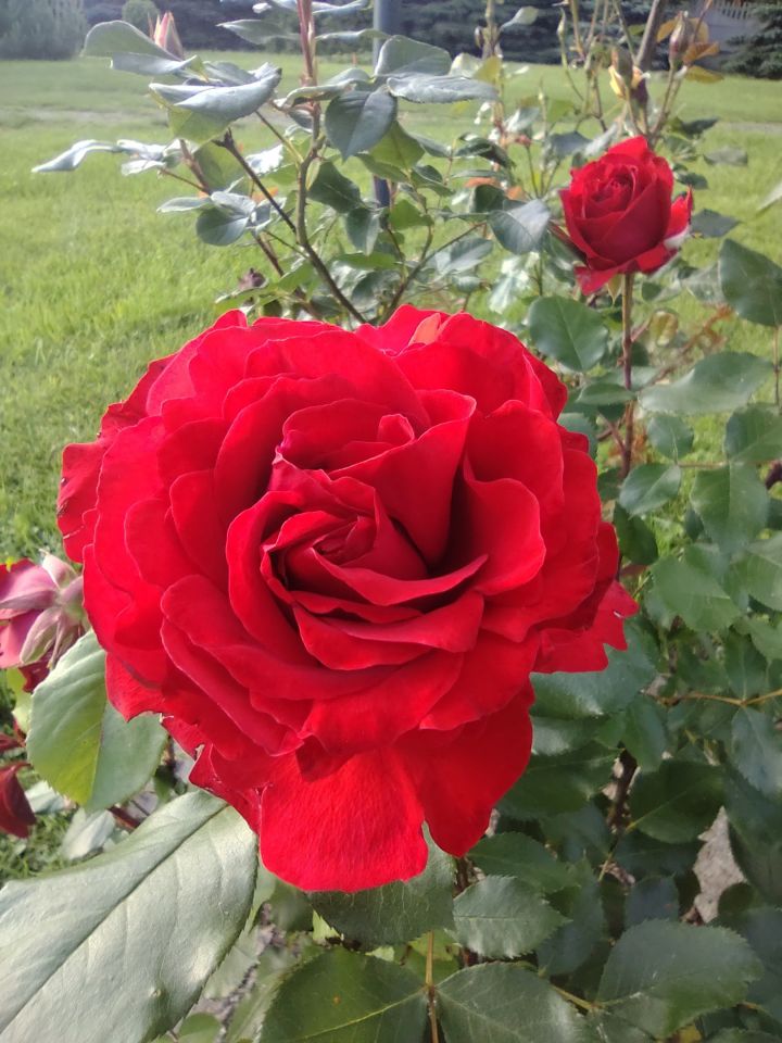 dom wolnostojący, 6 pokoi Mniów Raszówka, ul. Raszówka. Zdjęcie 21