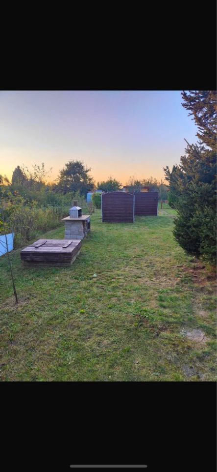 Działka rod Żary. Zdjęcie 8