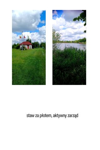 Działka rod Wrocław Żerniki, ul. Graniczna. Zdjęcie 1
