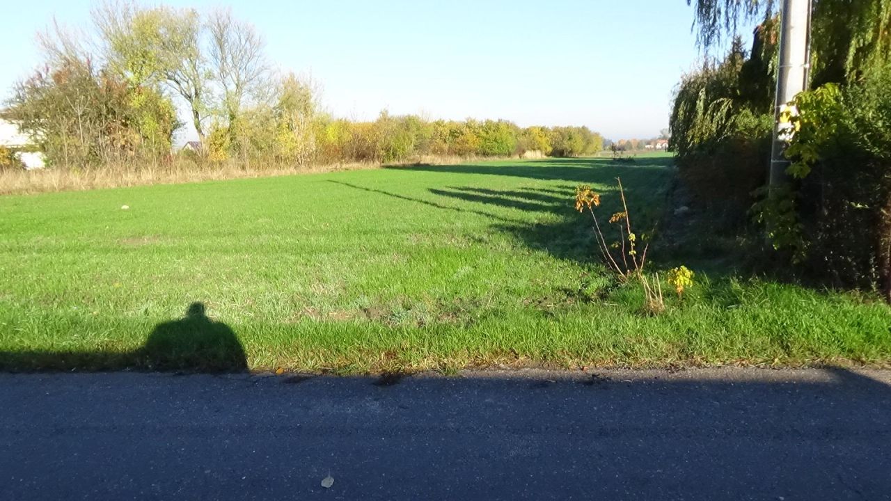 Działka rolno-budowlana Bednary-Kolonia. Zdjęcie 8