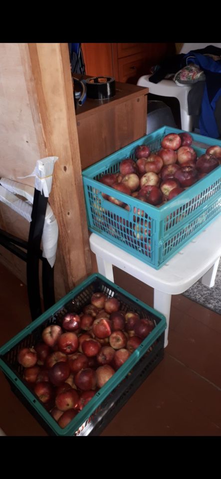 Działka rod Olsztyn Pieczewo, ul. Wisławy Szymborskiej. Zdjęcie 21