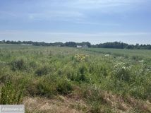 Działka budowlana Niedrzwica Duża, ul. Na Stawy. Zdjęcie 1