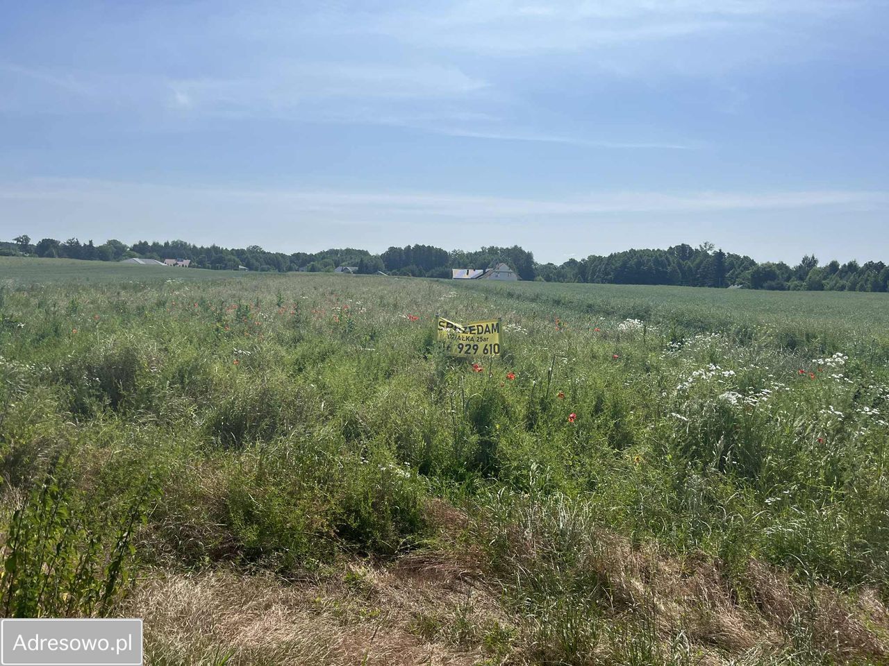 Działka budowlana Niedrzwica Duża, ul. Na Stawy. Zdjęcie 2