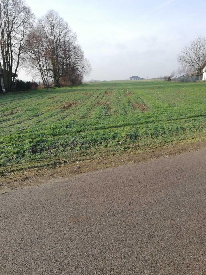 Działka budowlana Borkowo Kościelne. Zdjęcie 4