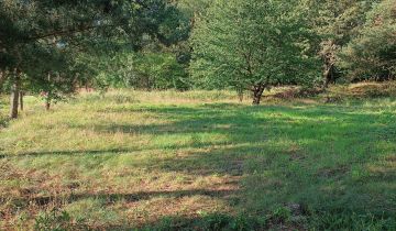 Działka na sprzedaż Pęgów ul. Południowa 1000 m2