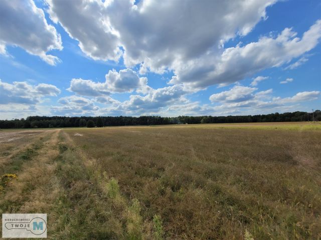 Działka rekreacyjna Kluczewsko. Zdjęcie 9