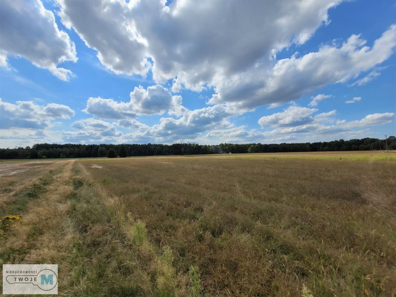 Działka rekreacyjna Kluczewsko. Zdjęcie 9