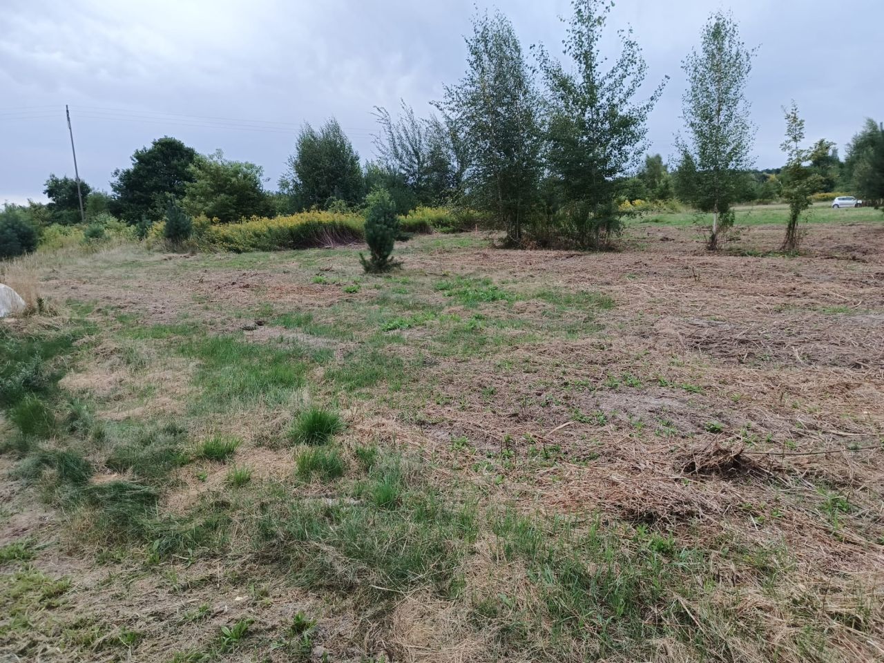 Działka budowlana Osolin, ul. Zielona. Zdjęcie 3