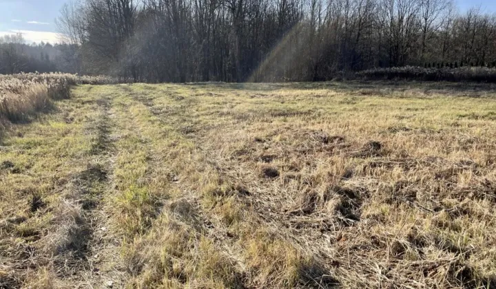 Działka budowlana Truskaw, ul. Południowa