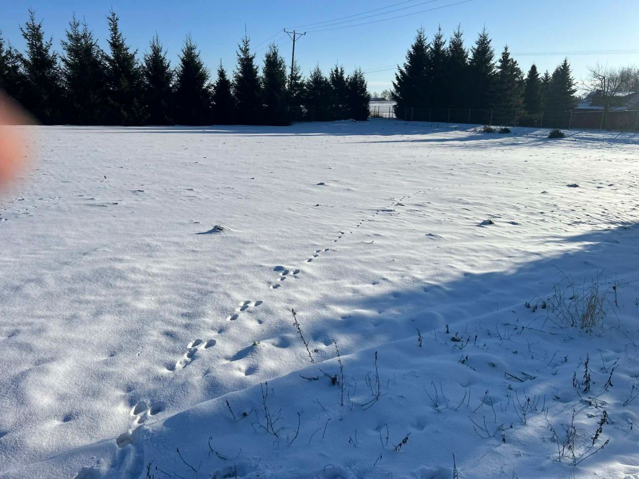 Działka rolno-budowlana Krasnystaw Krakowskie Przedmieście, ul. Bojarskiego. Zdjęcie 4