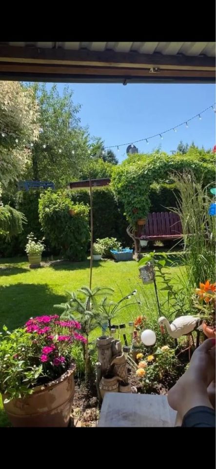 Działka rod Szałe. Zdjęcie 8