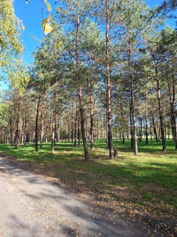 Działka rekreacyjna Łukawska Wola. Zdjęcie 2