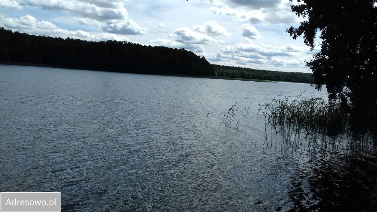 siedlisko, 5 pokoi Pajtuny. Zdjęcie 15