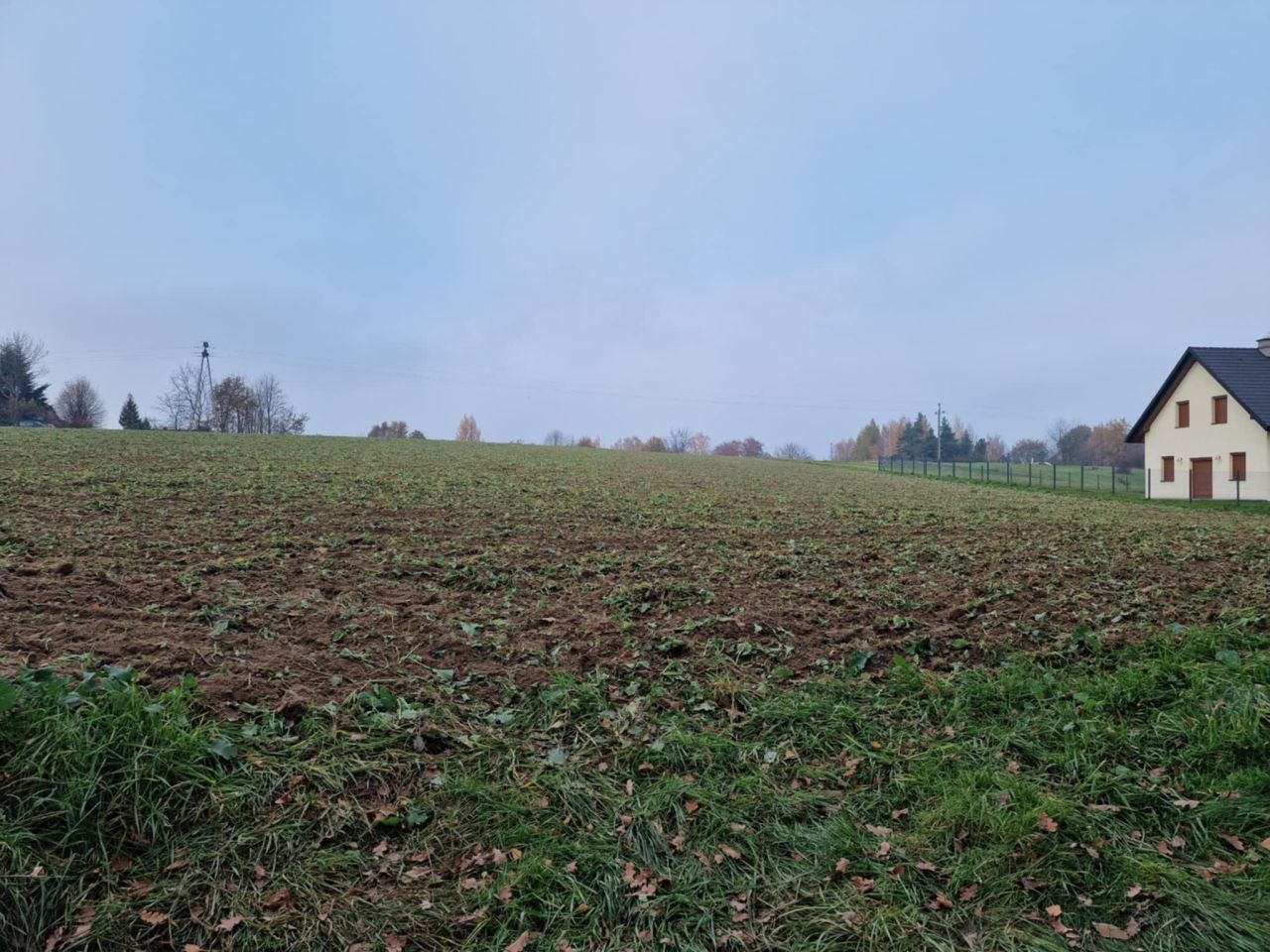 Działka rolno-budowlana Jaroszówka. Zdjęcie 6