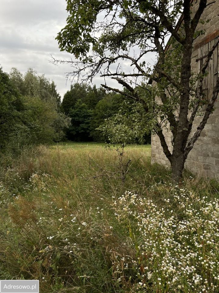 gospodarstwo, 2 pokoje Zabłocie. Zdjęcie 11