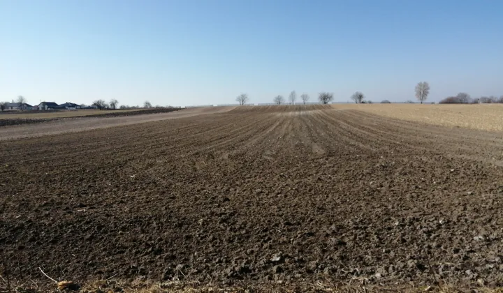 Działka rolno-budowlana Depułtycze Królewskie-Kolonia