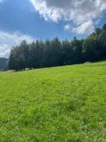 Działka inwestycyjna Piwniczna-Zdrój Sucha Dolina. Zdjęcie 4