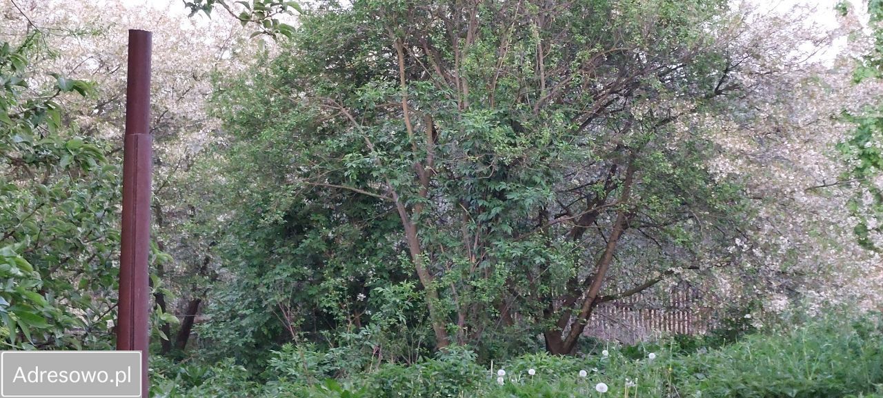 Działka budowlana Wambierzyce Górne Wambierzyce, ul. Wiejska. Zdjęcie 5