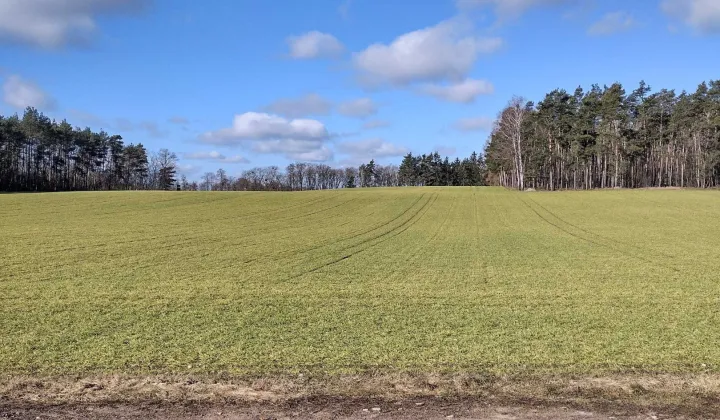 Działka budowlana Lubosz