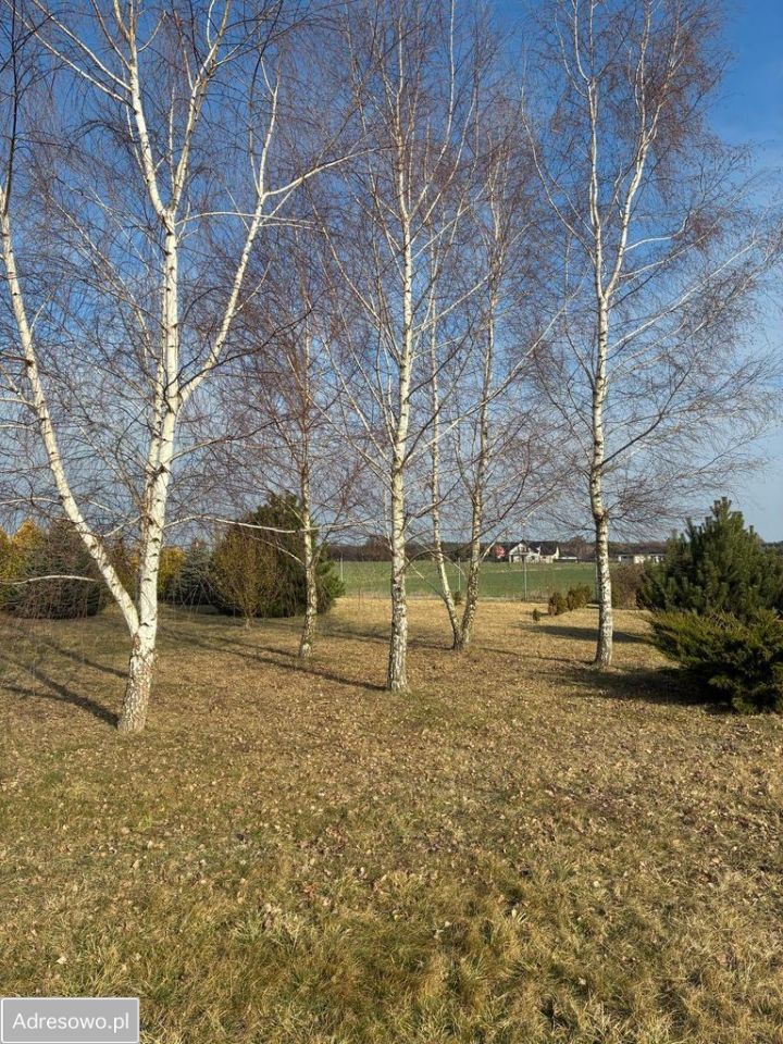 Działka rolno-budowlana Osmolice Pierwsze. Zdjęcie 2