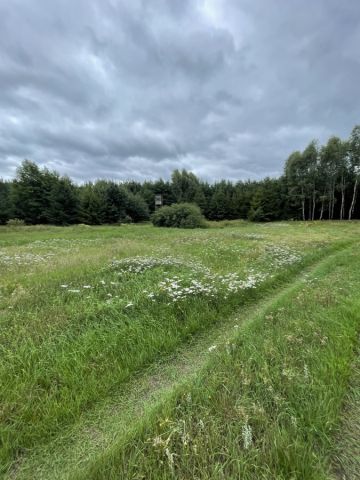 Działka rolna Huta. Zdjęcie 1