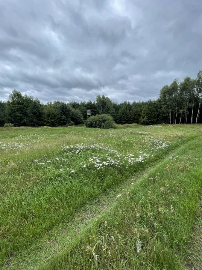 Działka rolna Huta. Zdjęcie 1