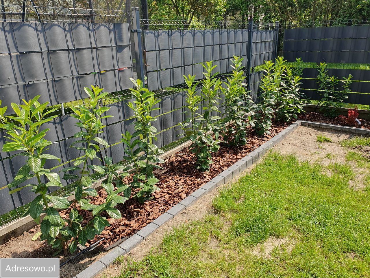 bliźniak, 3 pokoje Głosków, ul. Pustułki. Zdjęcie 13