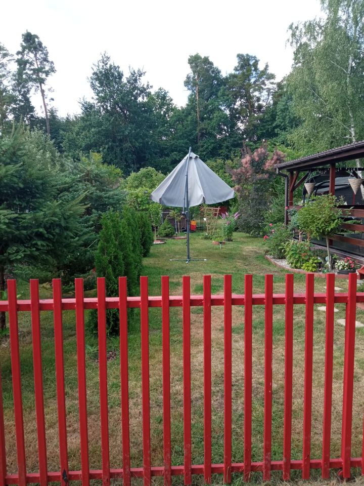 Działka rod Grochowa, ul. Zbigniewa Pawlaka. Zdjęcie 2