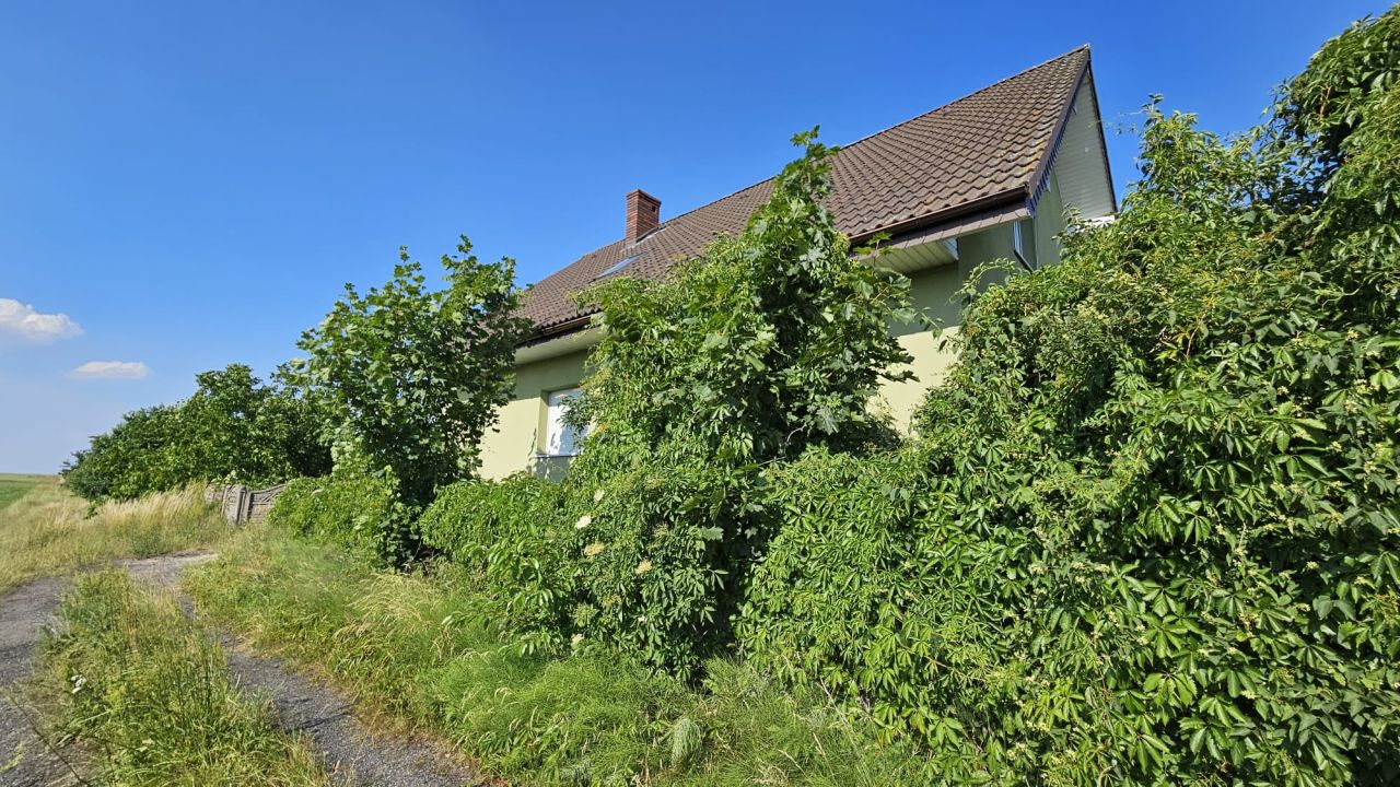 dom wolnostojący, 5 pokoi Kotwasice. Zdjęcie 2