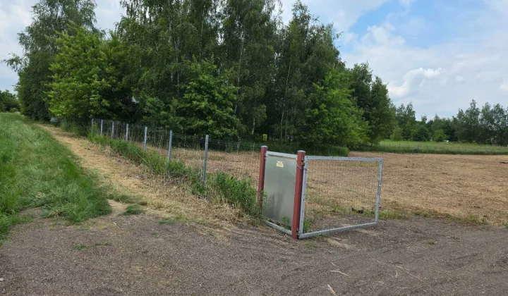 Działka Tarnów, ul. Lawendowa