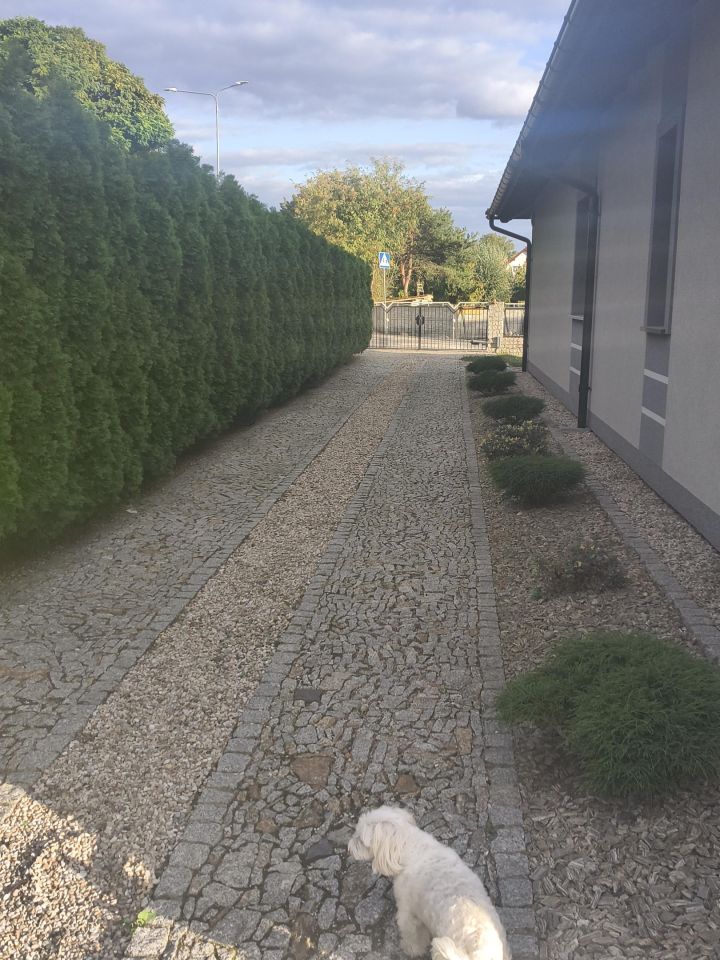 dom wolnostojący, 4 pokoje Brzezie k. Sulechowa, ul. Henryka Sienkiewicza. Zdjęcie 4