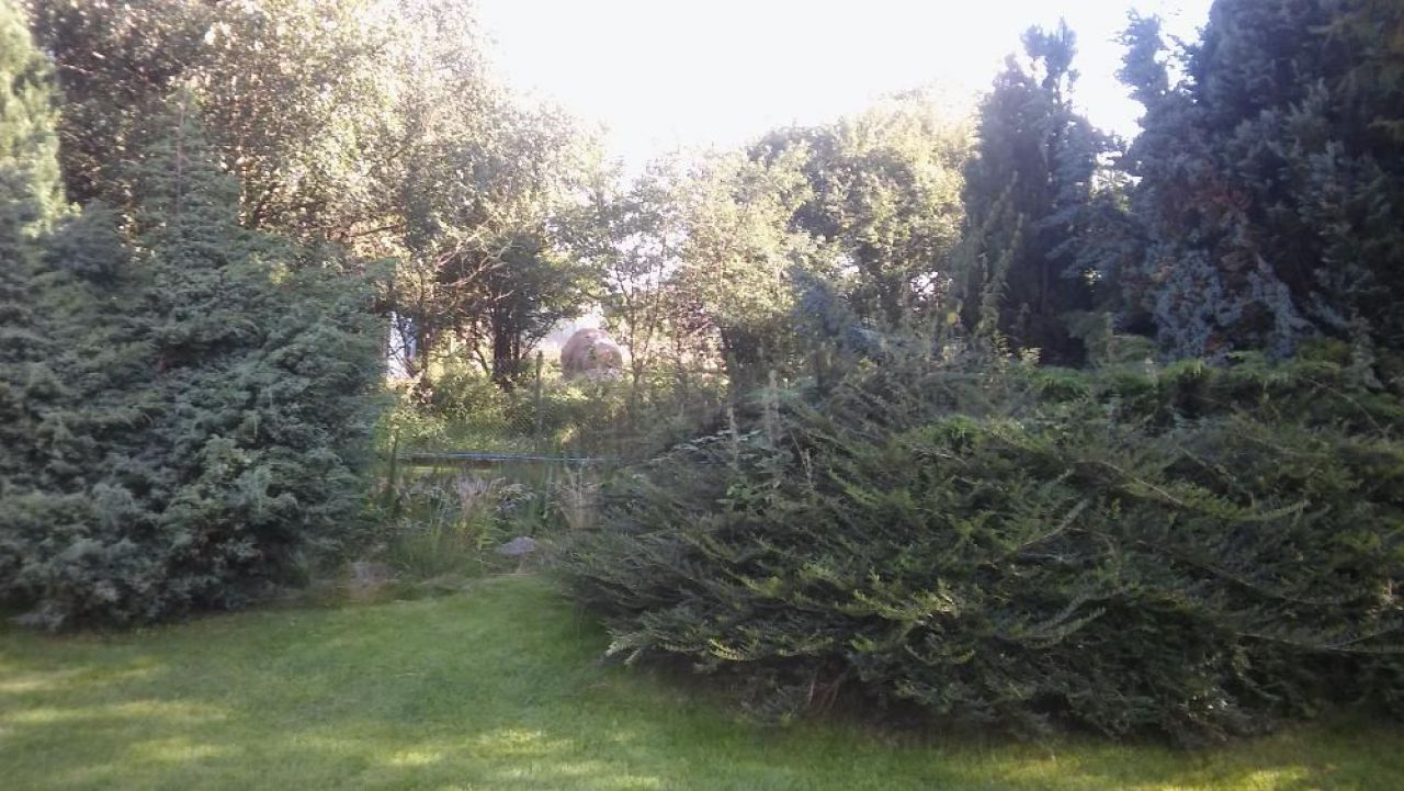 dom wolnostojący Smolno. Zdjęcie 7