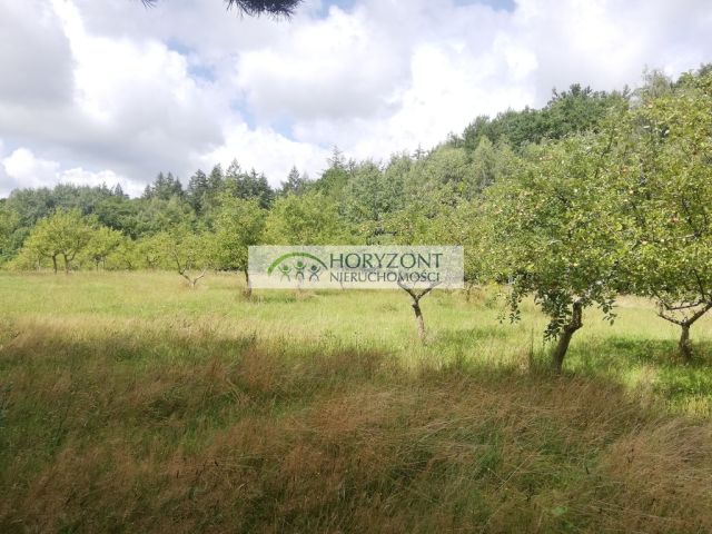 Działka inwestycyjna Babidół. Zdjęcie 20