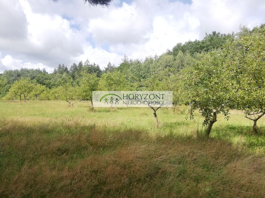 Działka inwestycyjna Babidół. Zdjęcie 20