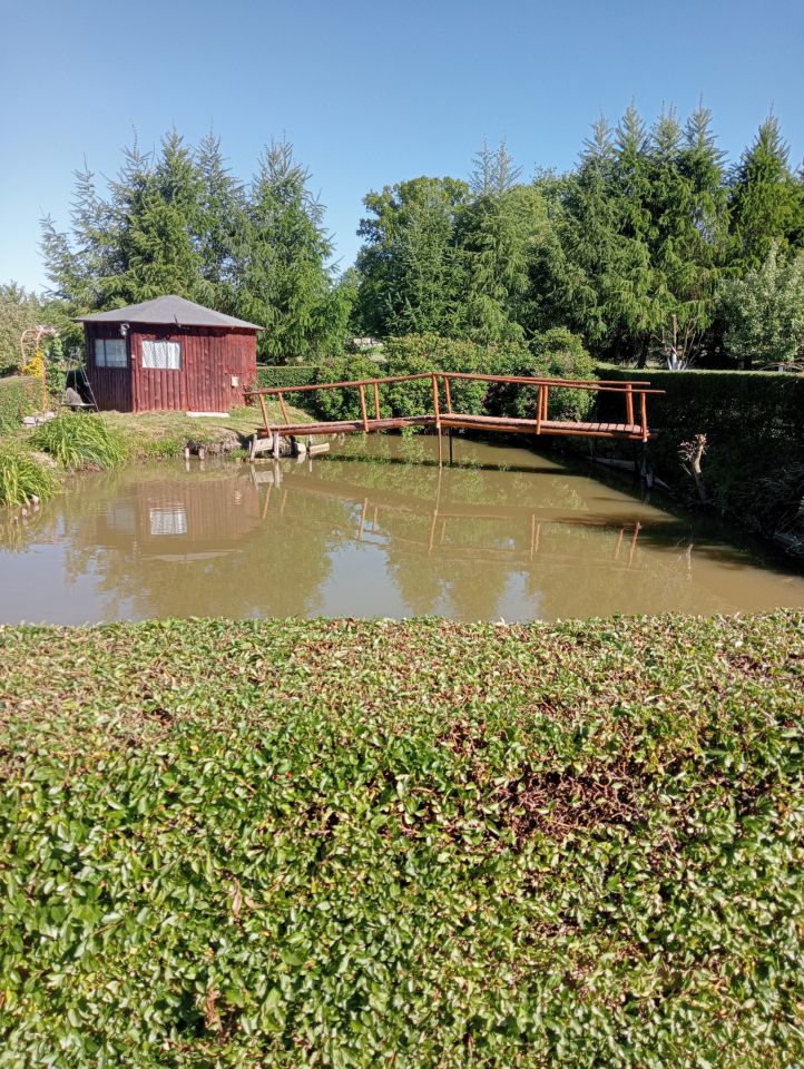 dom wolnostojący, 14 pokoi Buśnia. Zdjęcie 18