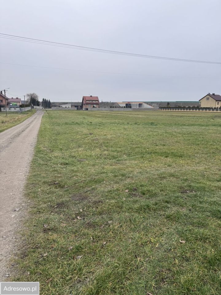 Działka budowlana Lubice. Zdjęcie 5