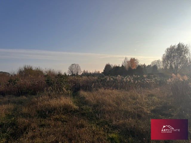 Działka siedliskowa Florentynów. Zdjęcie 6