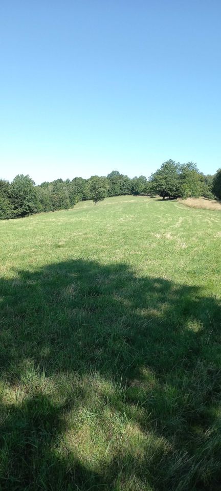 Działka rolna Walim. Zdjęcie 7