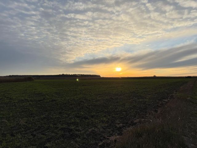 Działka rolna Oleśniczka. Zdjęcie 6