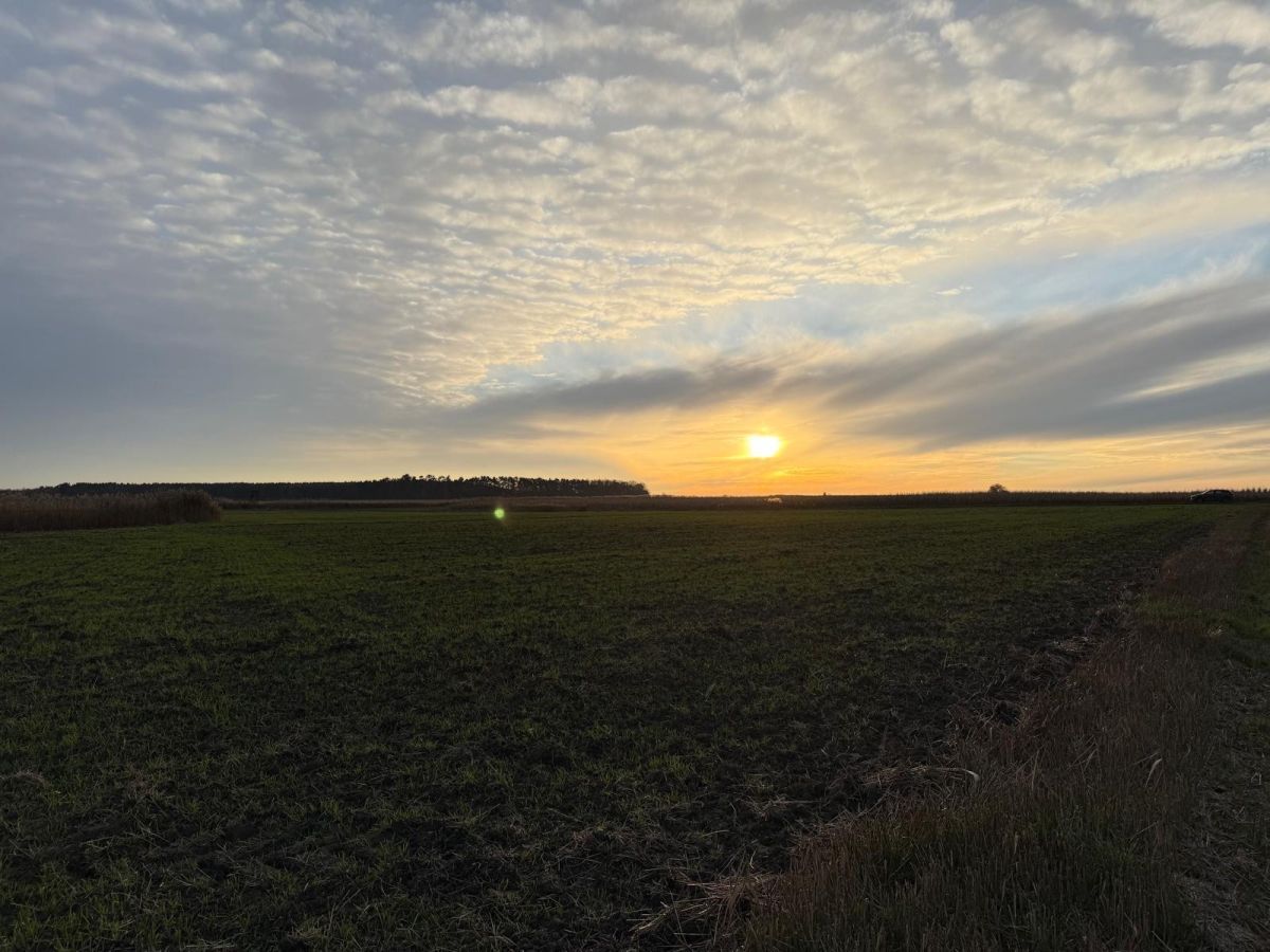 Działka rolna Oleśniczka. Zdjęcie 6