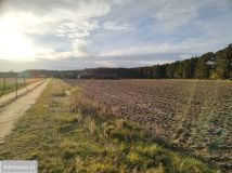 Działka budowlana Piaski. Zdjęcie 1