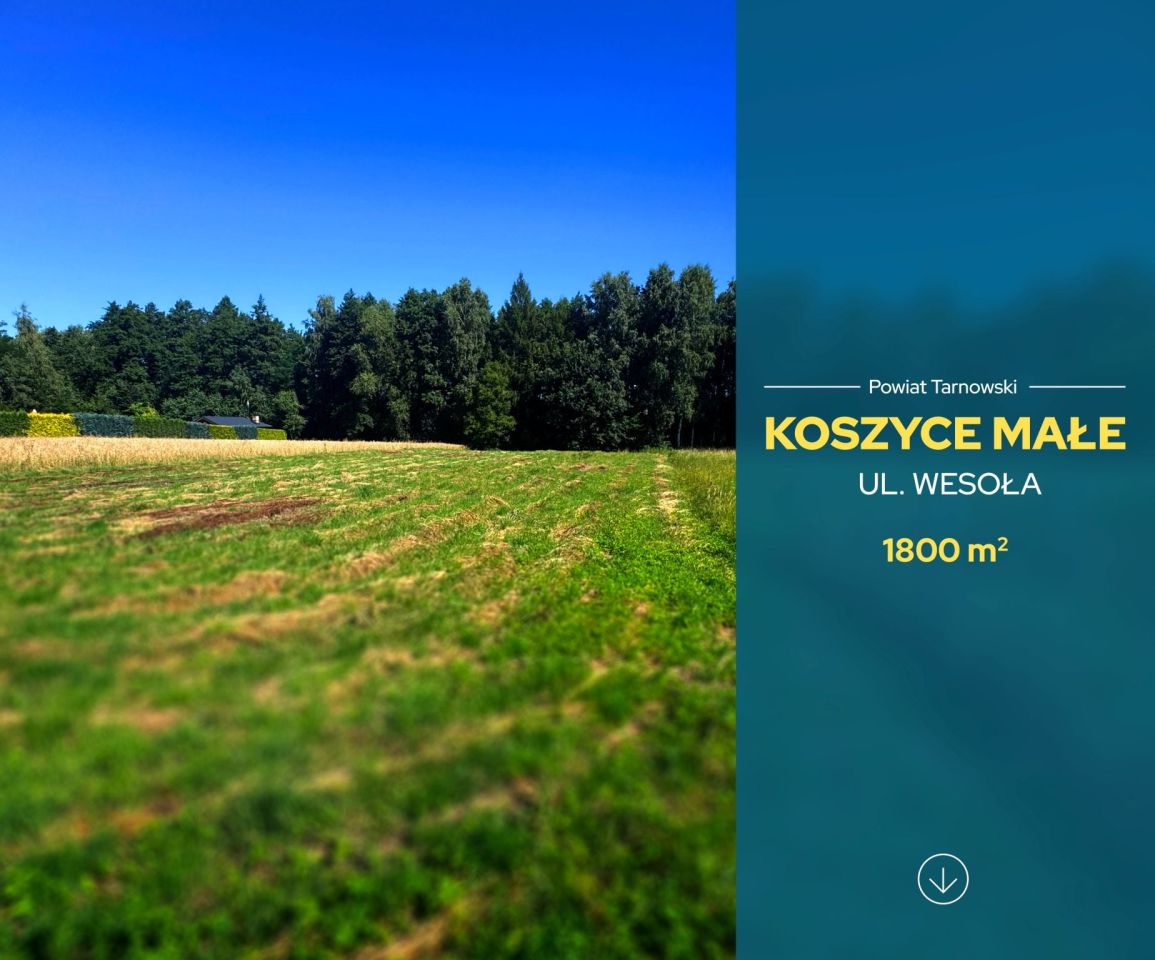 Działka budowlana Koszyce Małe, ul. Wesoła. Zdjęcie 2