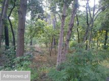 Działka budowlana Konstancin-Jeziorna Konstancin, ul. Leśna. Zdjęcie 1