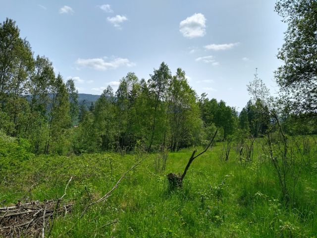 Działka rolna Jeleśnia, ul. Sosnowa. Zdjęcie 1