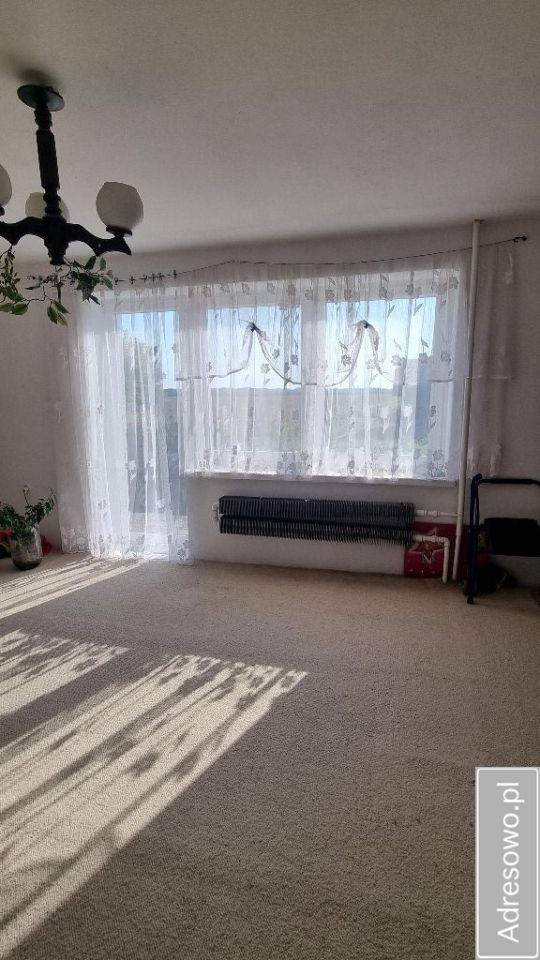 gospodarstwo, 5 pokoi Rokotów. Zdjęcie 5