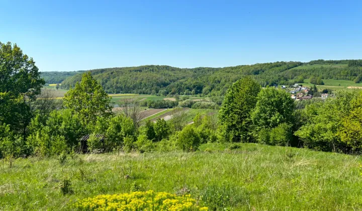 Działka budowlana Dynów Bartkówka