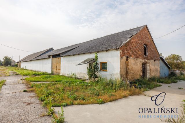 Lokal Annopol, ul. Lubelska. Zdjęcie 31