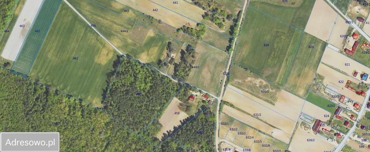 Działka rolna Drozdowo